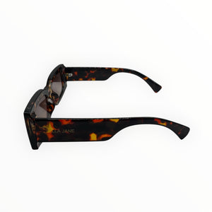 Tortoiseshell Lucy’s